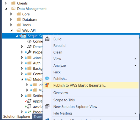 Publish to AWS Elastic Beanstalk